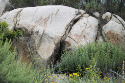 Then, as I hiked up toward the top of the hill I came up to this large boulder with this big crack. Something seemed odd at the bottom of the crack, so I got closer... Something's odd about this big rock