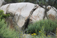 Then, as I hiked up toward the top of the hill I came up to this large boulder with this big crack. Something seemed odd at the bottom of the crack, so I got closer... Something's odd about this big rock
